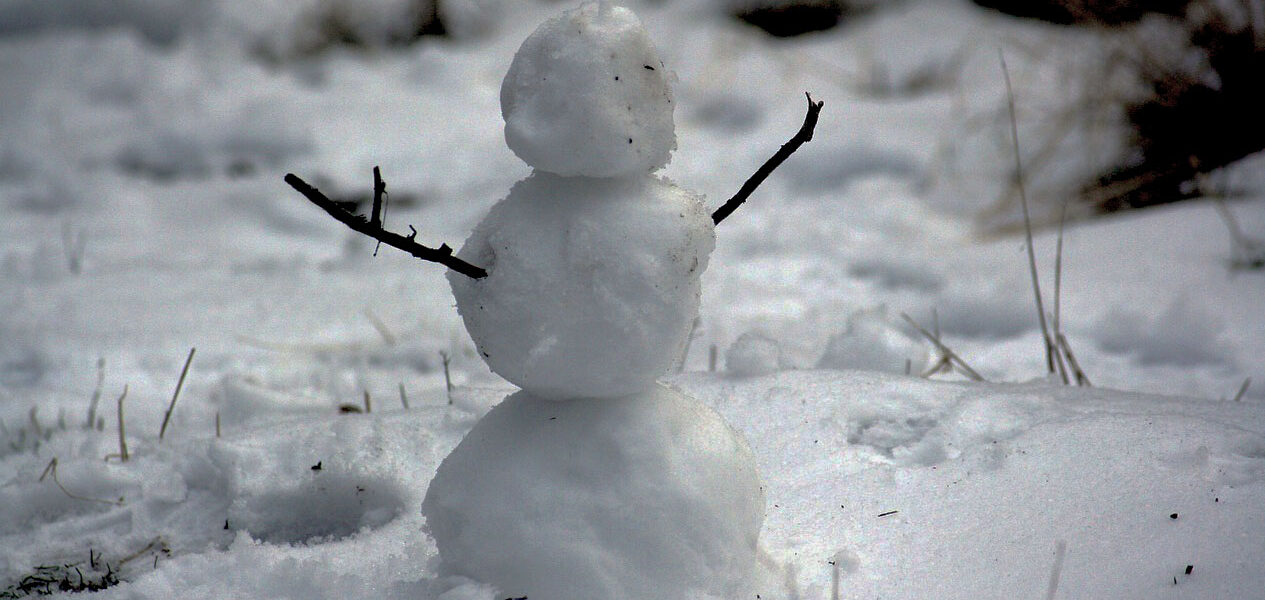 снеговик