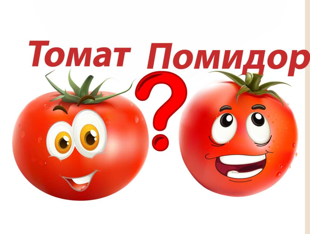 томат и помидор почему так называются