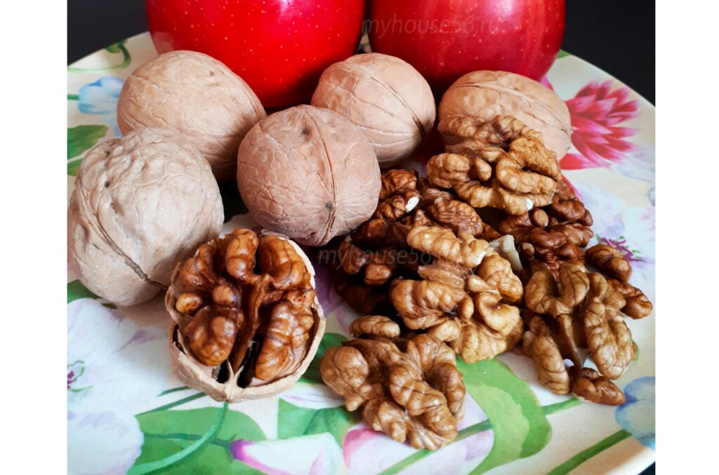 орехи хранение прокалить в духовке ореховая моль полезные орехи