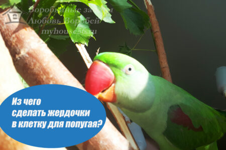 диаметр жердочки для попугаев жердочки для попугаев из дерева какие можно жердочки пластиковые для попугаев подобрать ветку для попугая в клетку