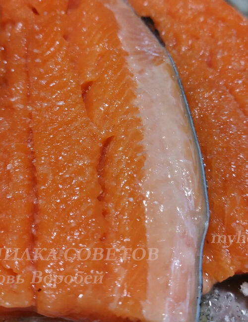 рыба посолить красная форель засолка маринад лосось красное филе